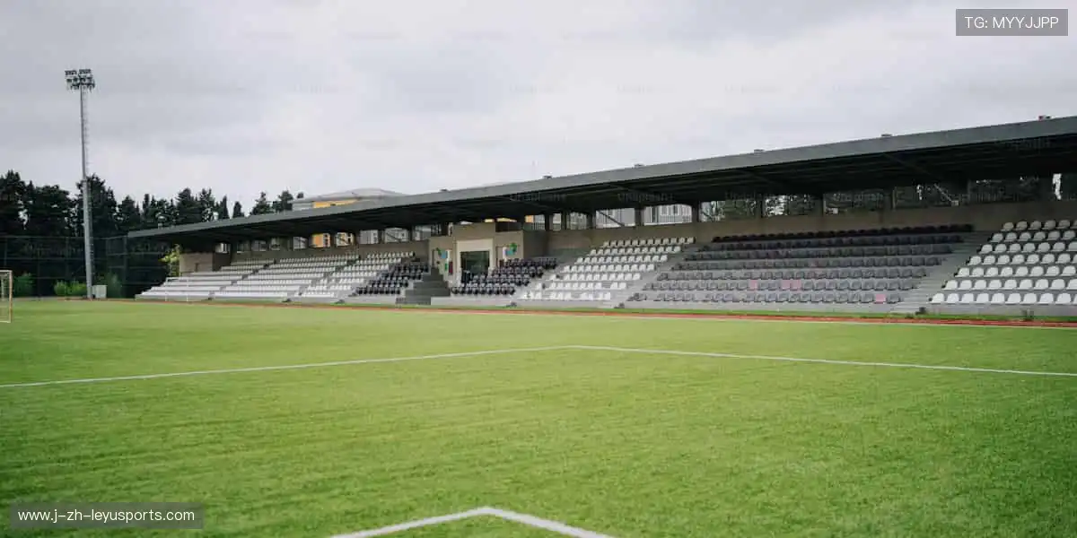 📱多屏同步,随时随地捕捉精彩瞬间!📻