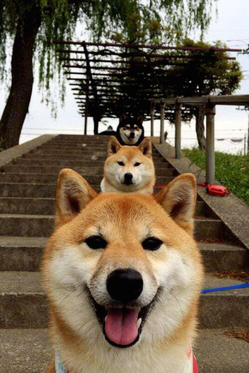 西甲球队战术板数字化改造效果分析,联手科技巨头玩数字营销 西甲想借此赶超英超