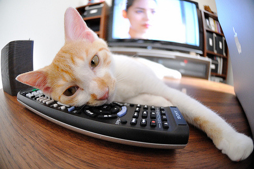 “2025世界运动会:高新体育中心篮球赛成赛事热点”