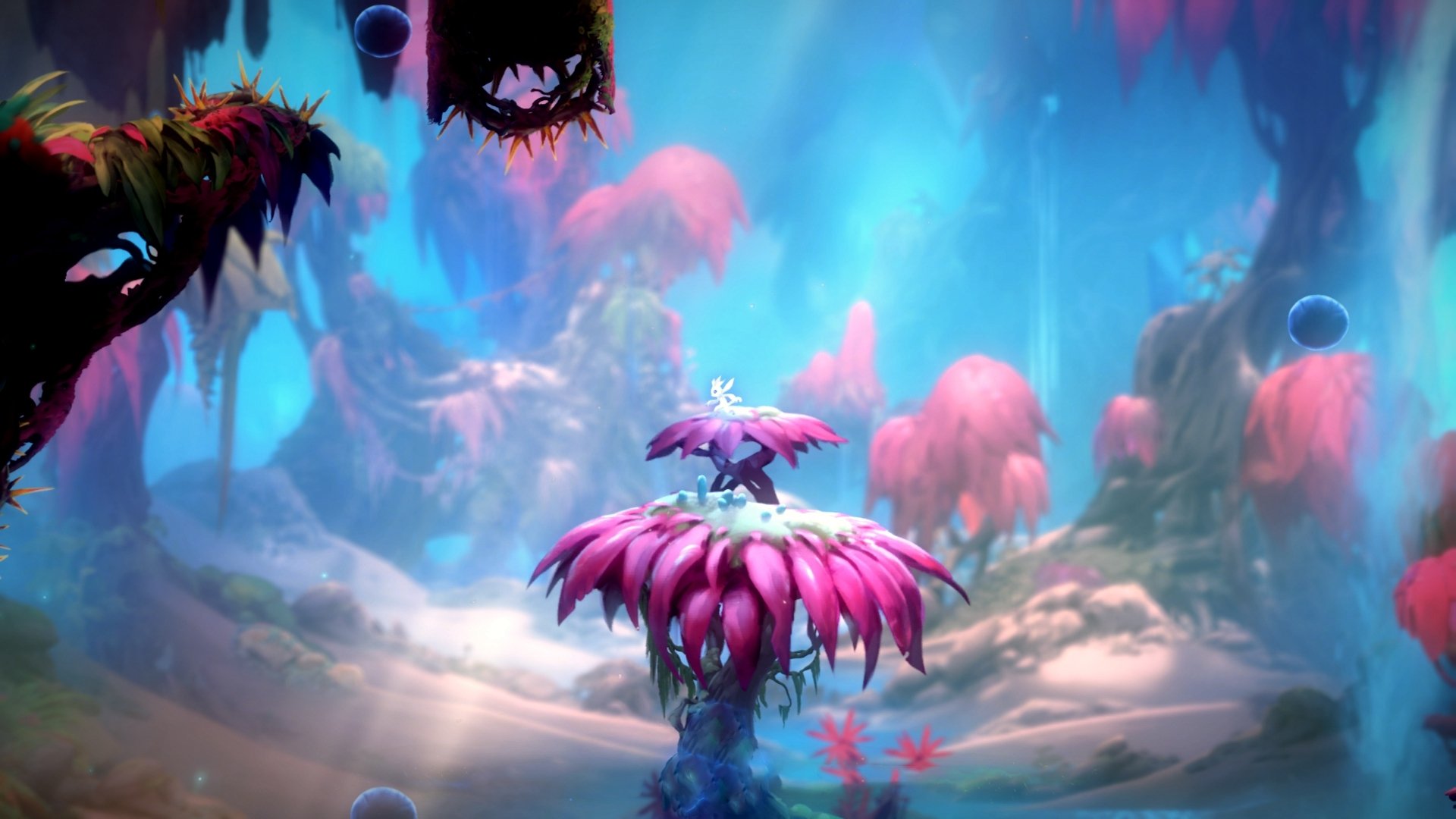 “高新区全民健身馆壁球赛:谁能把速度与精准玩得淋漓尽致?”