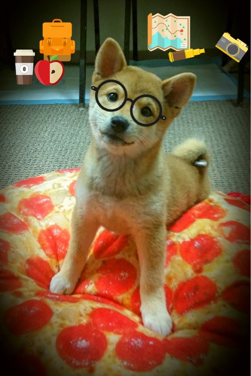 乐鱼vip-图卢兹边路发起多次成功突袭，图卢兹地图位置