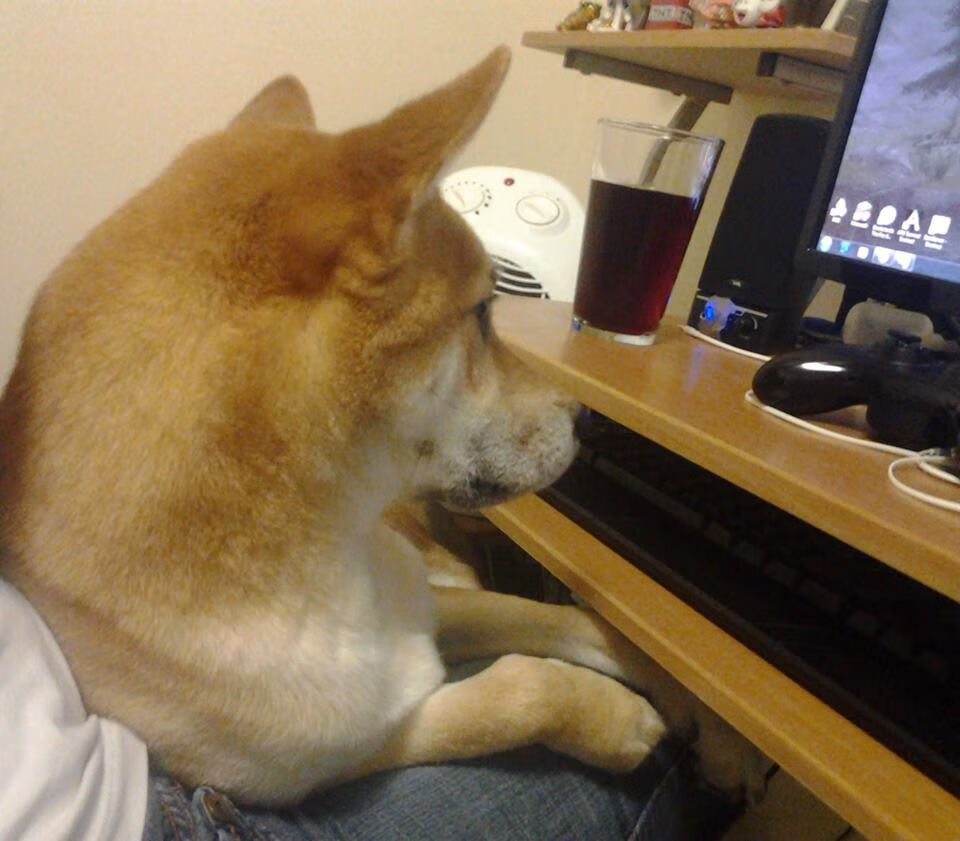 乐鱼（LEYU）体育-埃弗顿锋线冲击制造持续射门机会，埃弗顿强吗