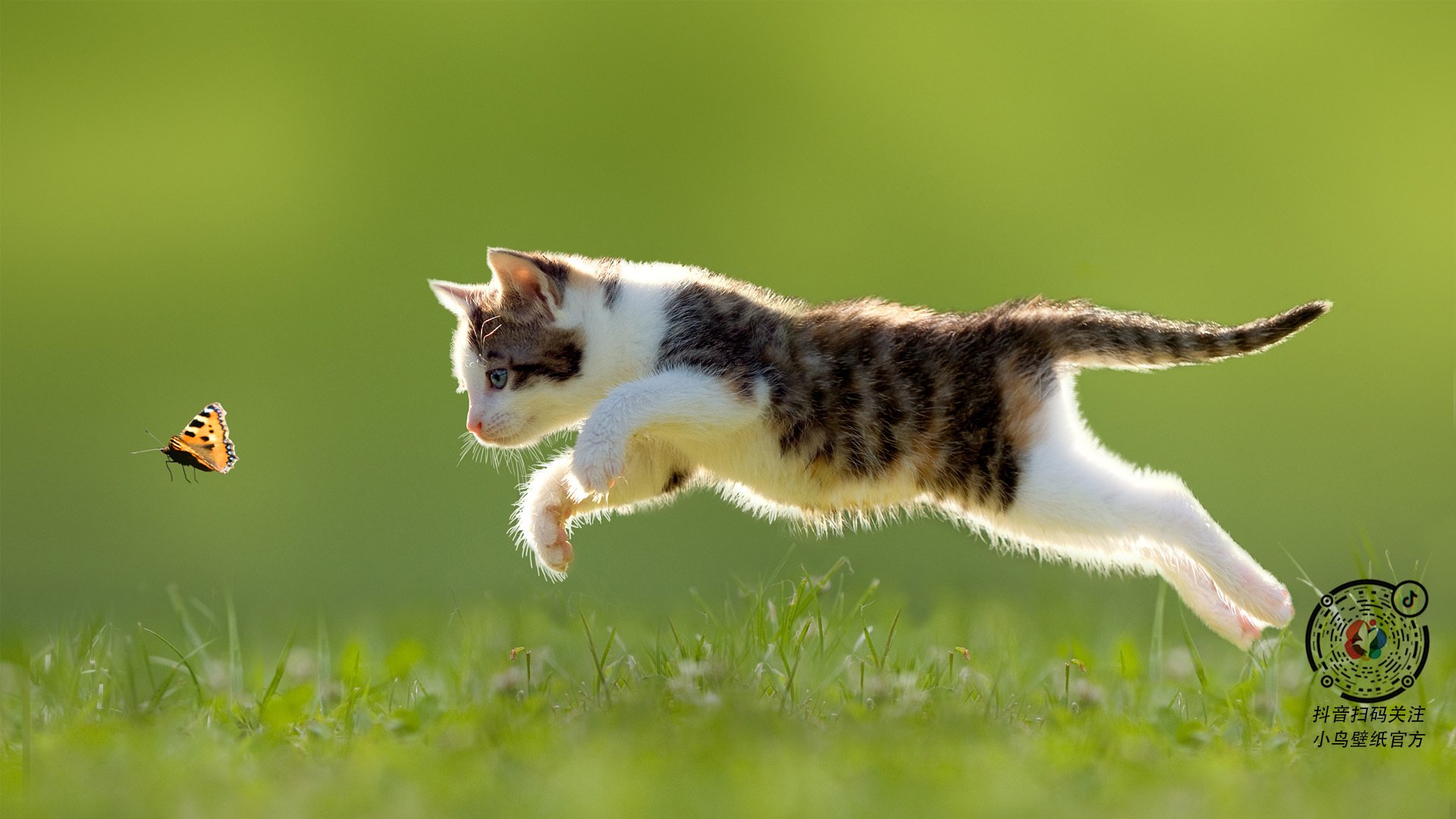 乔治·巴尔：全黑队的“精准传球者”，总能在关键时刻找到队友的空档