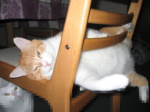 乐鱼体育(中国)官方网站-后卫线调整带来明显变化近期失球数大幅减少，后卫的位置和打法