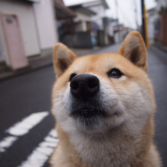 新闻中心发布运动风险预警系统测试成果通报，运动风险识别与防控对策
