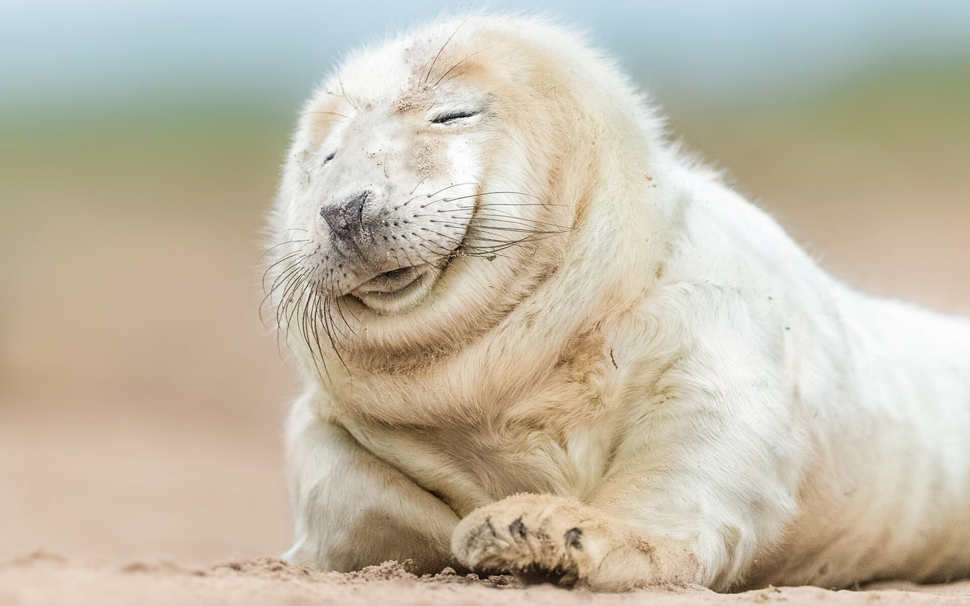 湖人队逆转战胜强敌NBA季后赛，湖人队逆转战胜强敌nba季后赛数据