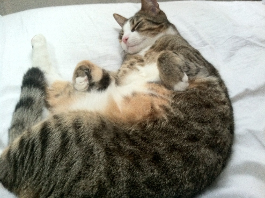 Leyu Sport登录入口-Berger 精准传球推动进攻节奏